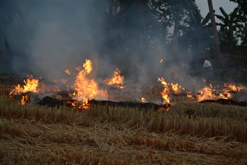 A burning field