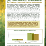 Policy brief titled Pathways for Achieving Zero-Hunger, (Net) Zero-Carbon Food Systems in Bihar